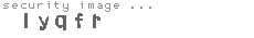 security image