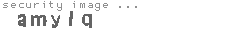 security image