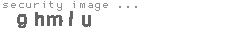 security image
