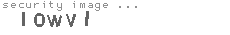 security image