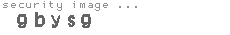 security image