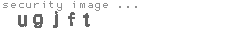 security image