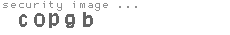 security image