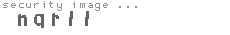 security image