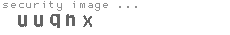 security image
