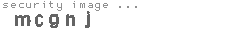 security image
