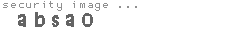 security image