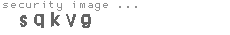 security image