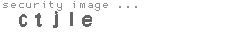 security image