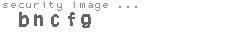 security image