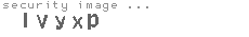 security image