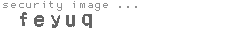 security image