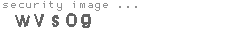 security image
