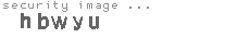 security image