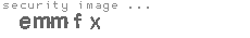 security image