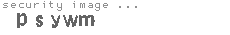 security image