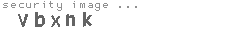 security image