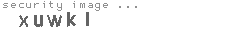 security image