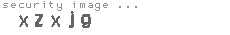 security image