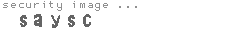 security image