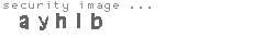 security image