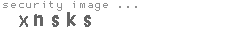 security image