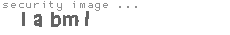 security image
