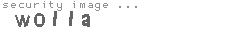 security image