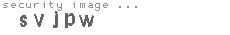 security image