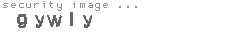security image