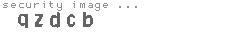 security image