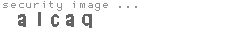 security image