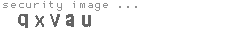 security image