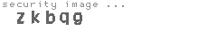 security image