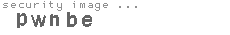 security image