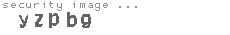 security image