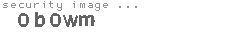 security image