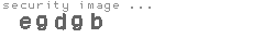 security image