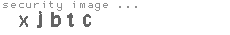 security image