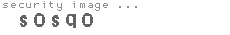 security image
