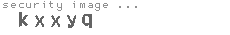 security image