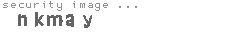 security image