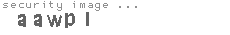 security image