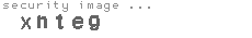 security image