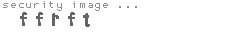 security image