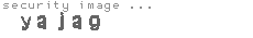 security image