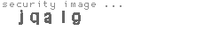 security image