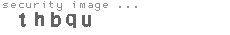 security image
