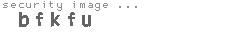 security image