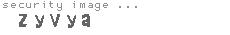 security image
